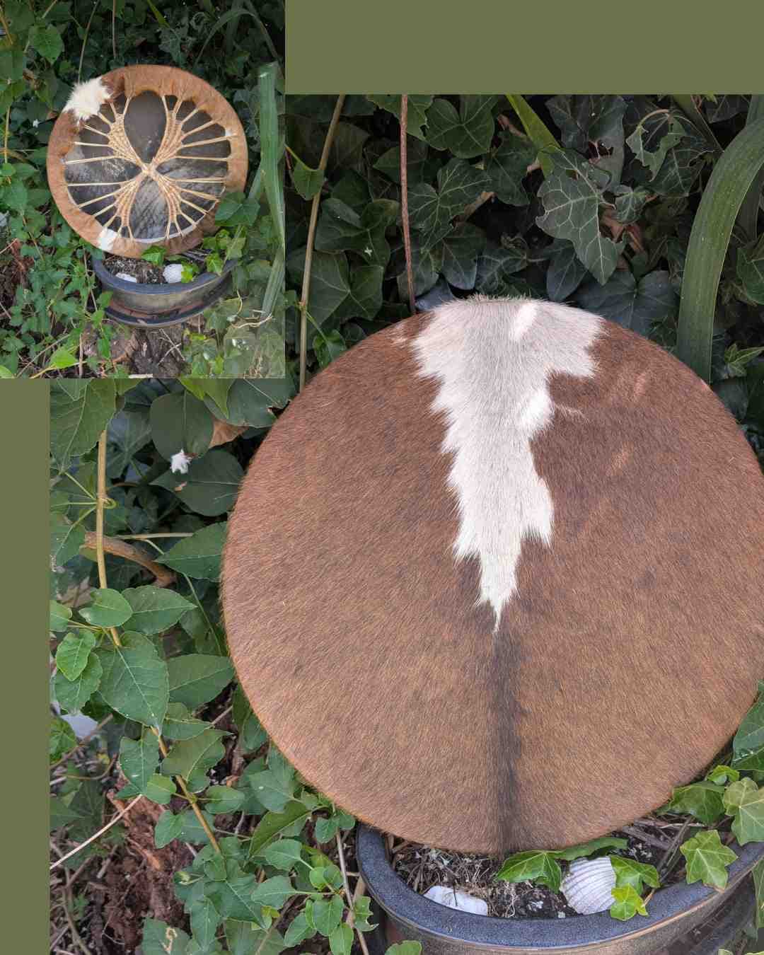 Sjamanendrums met haar 40 cm